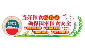 ʳ밲ȫϵĻǽ