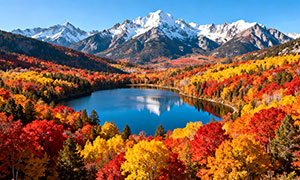 ＾ɽеĽɫֺͺӰͼƬ