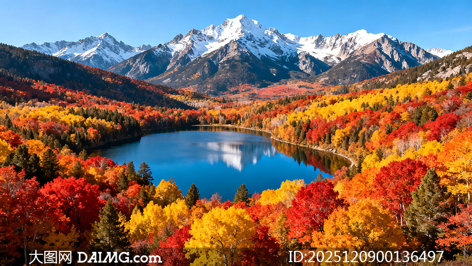 ＾ɽеĽɫֺͺӰͼƬ