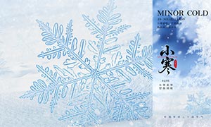 ����24����С��������������PSD�ز�