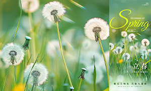 ���︴����ɫϵ�����������⺣���ز�