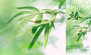 дʵ��Ӱ�������������⺣��PSD�ز�