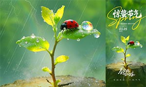 ����ʼ���������ݽ�����������PSD�ز�