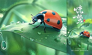 ư�����⾪�ݽ�����������PSD�ز�