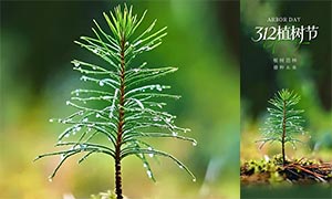 ��������312ֲ������������PSD�ز�