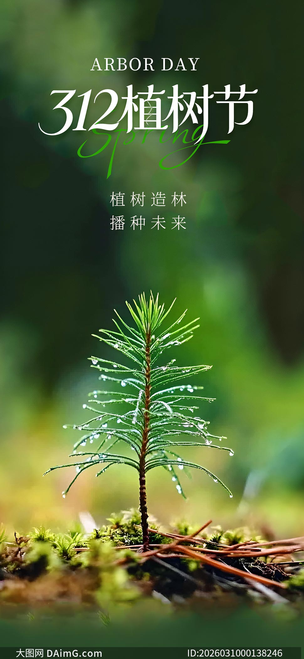 ��������312ֲ������������PSD�ز�