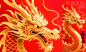 ���¶���̧ͷ��ͳ�����ֻ�����PSD�ز�