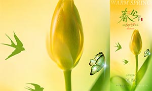 �������ⴺ�ֽ����ֻ�����PSDԴ�ļ�