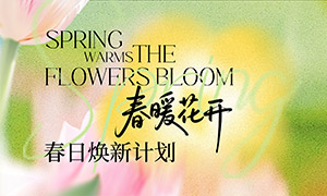 ������ɢ�紺���Żݴ����չ��PSD�ز�