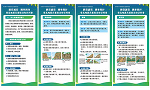 ���������ֺ�֪ʶ������������ʸ���ز�