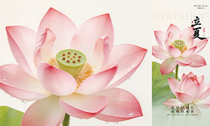 дʵ��Ӱ���ɫ�ɻ����Ľ��������ز�