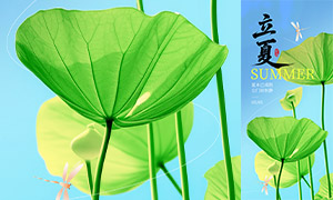 ��ˬ������Χ���Ľ����ֻ�����PSD�ز�