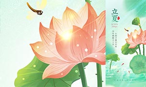 �ɻ���Ҷ�������Ľ����ֻ�����PSDԴ�ļ�