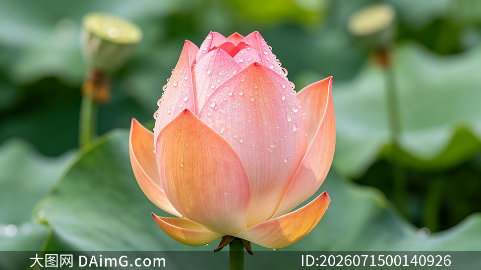 �ɻ�������д����ͼƬ�ز�